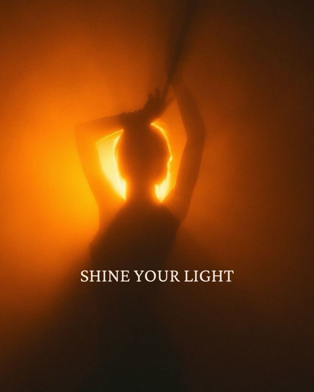 SHINE Mentorship